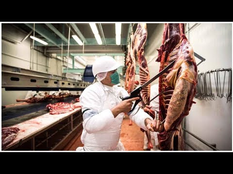 Ученые назвали опасность красного мяса