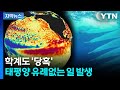 [자막뉴스] "이런 거 본 적 없다"...올 여름 심상치 않은 조짐 / YTN