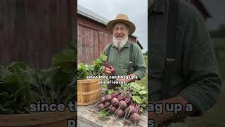 Why You Should Never Chop the Leaves Off Your Beets