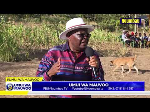 Daniel Yumbya Silikali Yieke Uselesya Ilovia Sya Uthukumi Na Kuvingiisa Silikali Sya Mutiiuko 