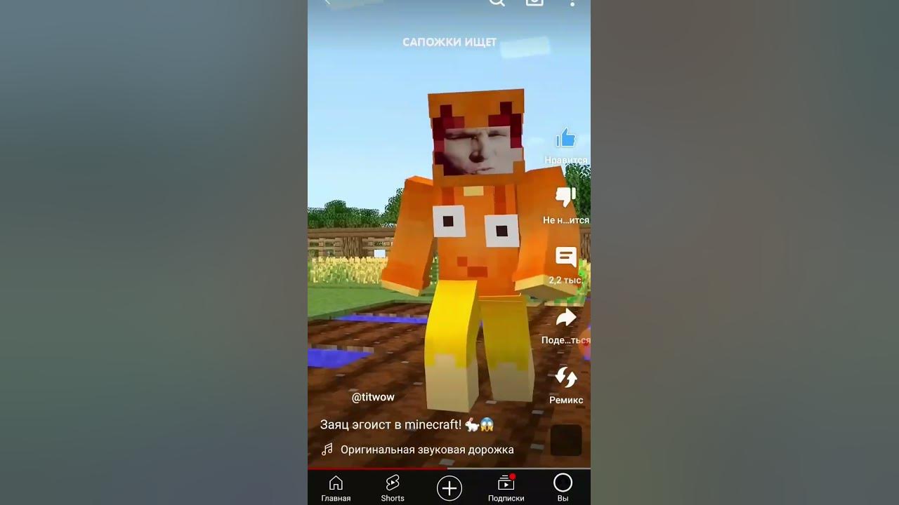заяц игоист - YouTube