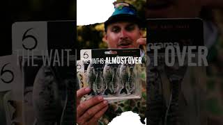 This Will CHANGE the Way You Finesse Fish (NEW Panorama Sizes Coming SOON)