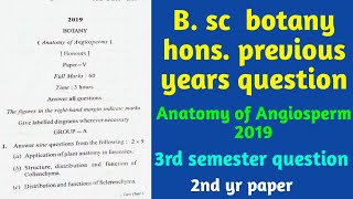 Anatomy of angiosperm || B.Sc botany Honours previous year question paper 2019