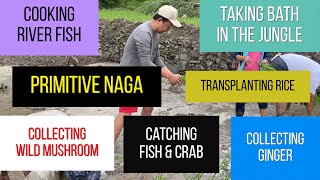 Primitive Naga | The Village Diary | Experience Naga village lifestyle