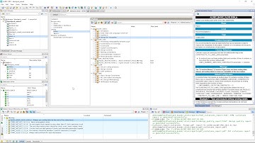ALINT-PRO™ 1.3 Basics: Violation Viewer and Reports