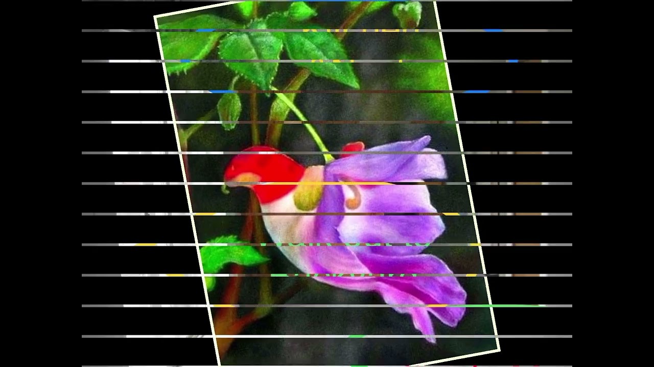 House for rent YouTube