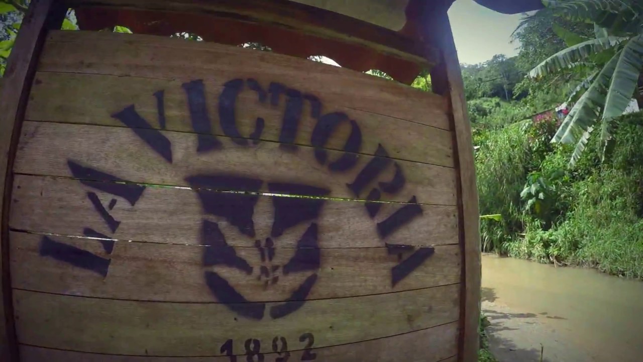 Minca La victoria Farm (English Video) YouTube