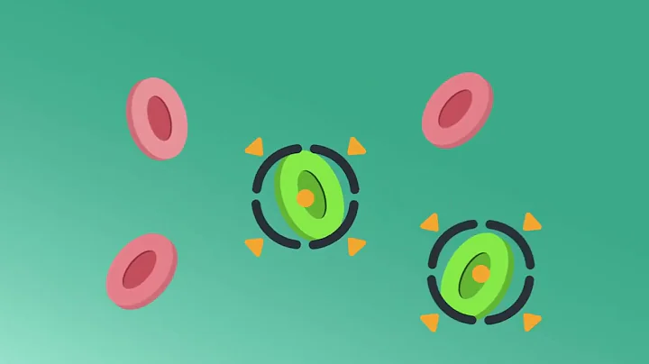 How Immunotherapy Works: Your Immune System’s Role in Fighting Cancer