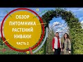 Обзор питомника Ниваки | Часть вторая | #бонсай