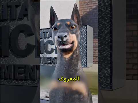 ليش يقصوا آذان و ذيل كلب الحراسة 