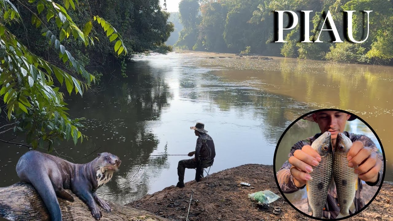 ACAMPAMENTO / PESCARIA, teve CALDEIRADA DE PIAU em meio a FLORESTA AMAZÔNICA 