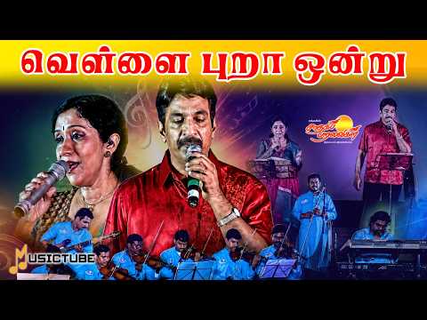 வெள்ளை புறா ஒன்று | unni menon | sujatha mohan #musictube #saadhagaparavaigal