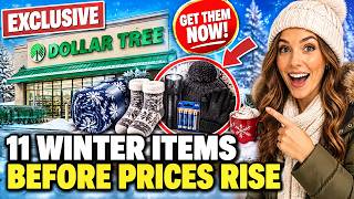 11 Dollar Tree Items You NEED Before Winter Gets Expensive