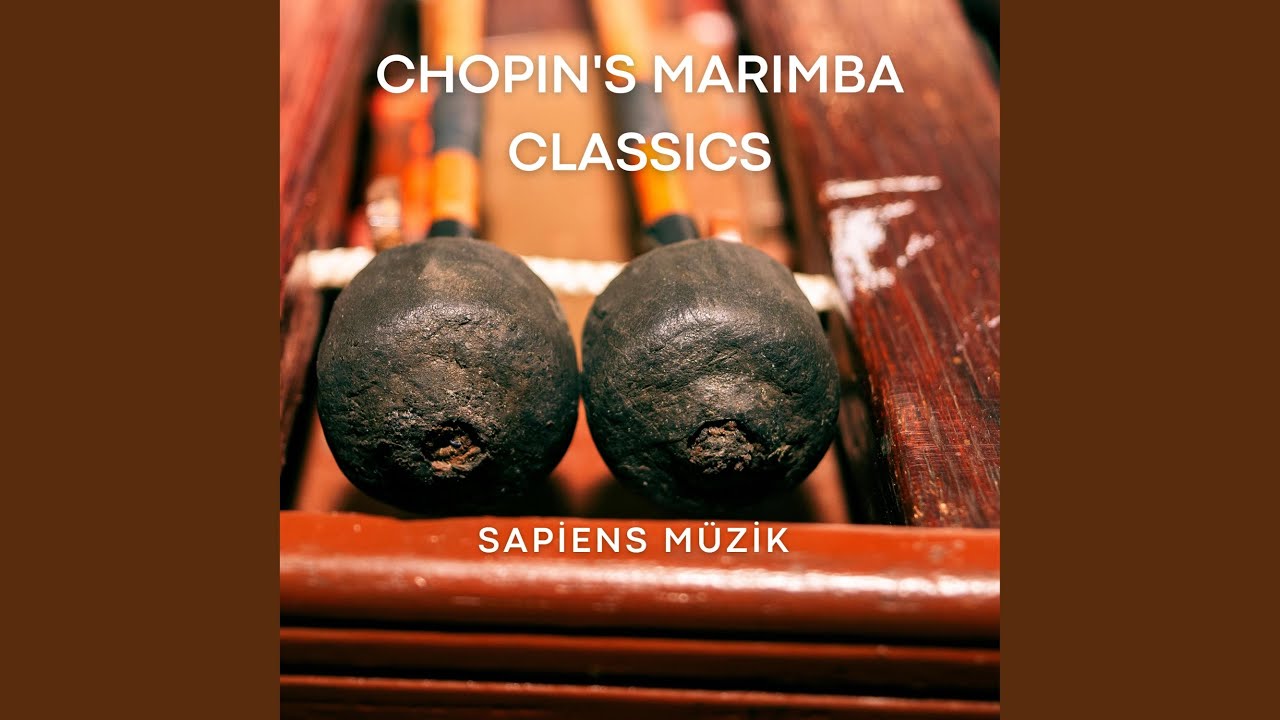 Chopin's Marimba Etude YouTube