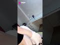 Happy Moment Tango Tangolive Live Livestreaming Happymoments Moments Gift Followme Fun 