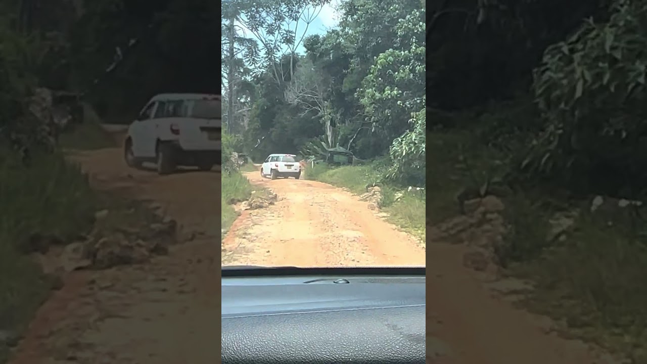 Bvumba botanical garden 