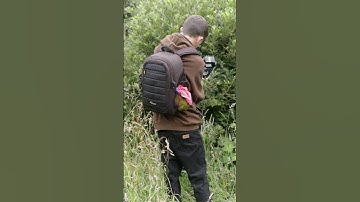 Safety in numbers #macro #macrophoto  #macrophotography