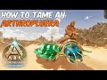 How To Tame an Arthropluera in ARK Survival Ascended #ark #arksurvivalascended #arthropluera