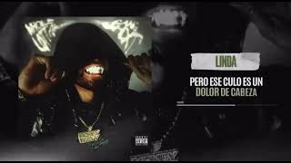YOVNGCHIMI X AMARION - Linda | Oficial Vizualizer