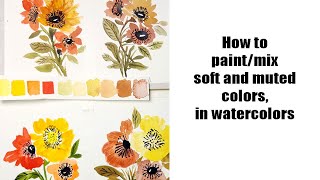 How to paint and mix soft and muted colors in watercolors, followed by floral painting to illustrate