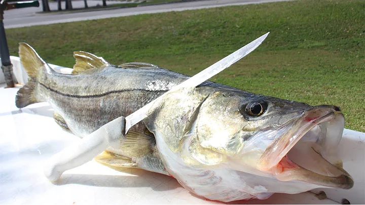 THE ONLY FISH THAT RESTAURANTS DON'T SELL YOU!! Ca...