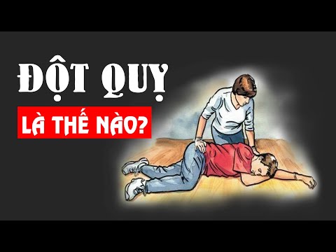 Video: Giải thích đột quỵ chó