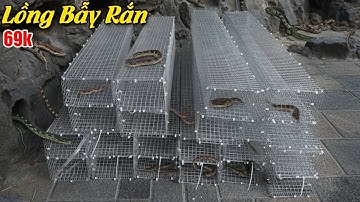 69k Lồng Bẫy Rắn Kẽm Cao Cấp Không Rỉ, Đủ Kích Thước. Lồng Bẫy Rắn, Lồng Bắt Rắn... 0987782098