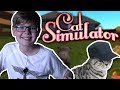 CAT SIMULATOR!!