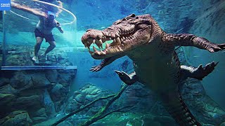 Гребнистый Крокодил – Самый Опасный из Всех Крокодилов в Мире!