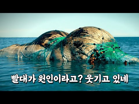 당신이 알고 있는 바다오염에 관한 진실은 모두 틀렸다 / 충격적인 문제작 &rsquo;씨스피라시&rsquo;