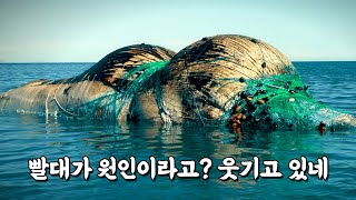 당신이 알고 있는 바다오염에 관한 진실은 모두 틀렸다 / 충격적인 문제작 '씨스피라시'