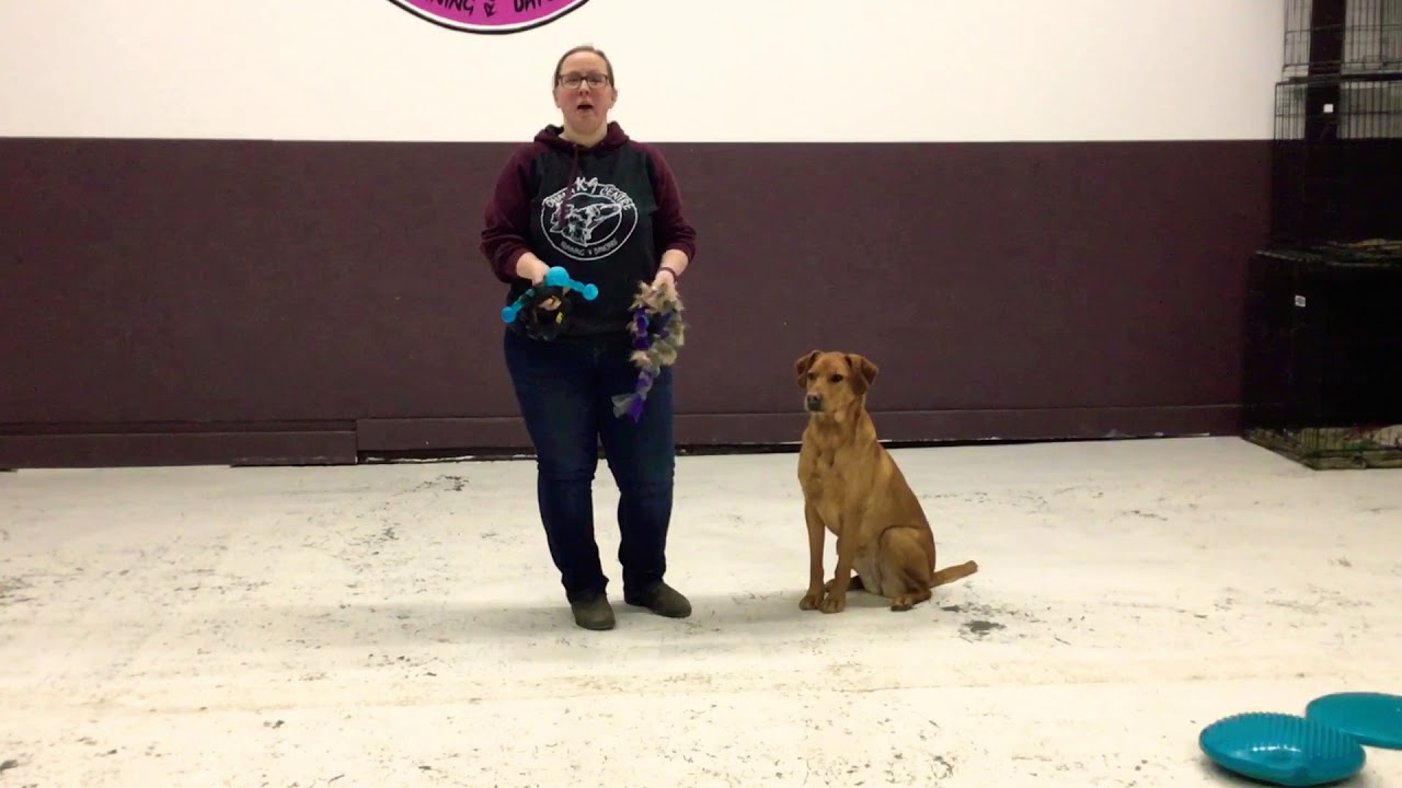 Building toy drive (basic version) YouTube