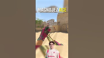 Magnojez ACE with donk