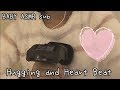 【ASMR】ハグしながら心音を聞かせてあげます- Hugging & Heart Beat Sounds〜No Talking
