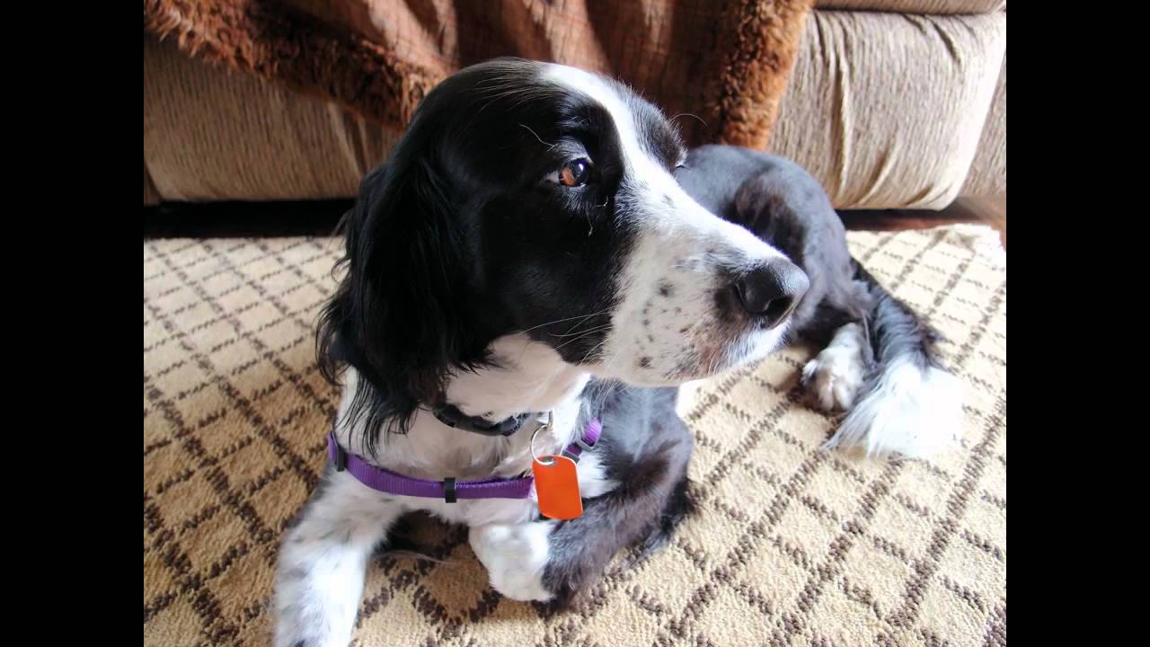 LAYLA AND JAKE KEMAH YouTube