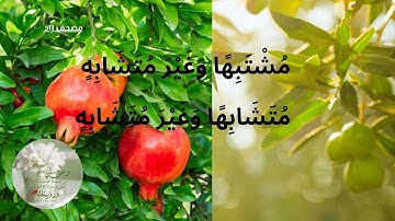 سورة الأنعام : الفرق بين مشتبها وغير متشابه ومتشابها وغير متشابه