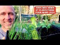 En avant pour mars au potager