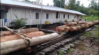 lokomotif angkut kayuk balak dari hutan menuju laut