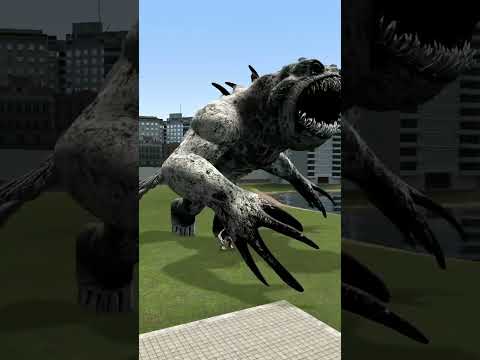 ZOONOMALY MONSTERS RACE