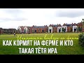 Как кормят НА ФЕРМЕ В АНГЛИИ и кто такая ТЁТЯ ИРА! Интересный конкурс на ферме