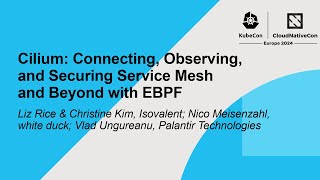 Cilium: Connecting, Observing, and Securing Service Mesh and Beyond with eBPF - Panel