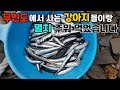 나는 자연인이다 (무인도 강아지들과 멸치 잡기) #강아지 #낚시 #통발 #캠핑