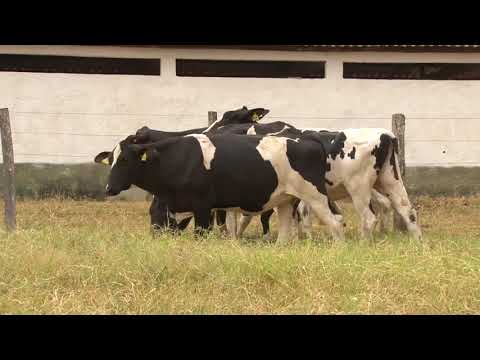 LOTE 19   PADRE BERNARDO