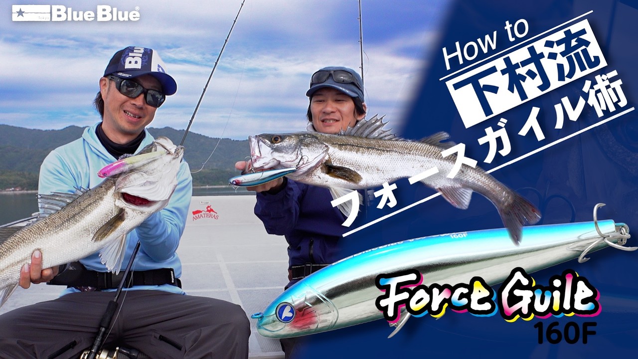 The Irresistible Action That Drives Sea Bass Wild! Shimomura's