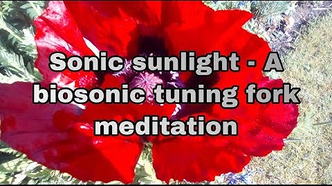 Sonic sunlight - A biosonic tuning fork meditation