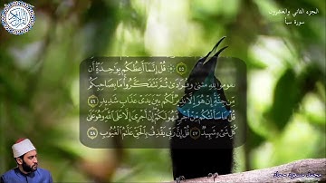 ما تيسر من سورة سبأ 🎧 محمد مسعود حماد