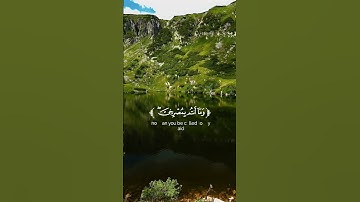 سورة إبراهيم الآية(22) #فلاتلوموني #القارئ_يوسف_الصقير