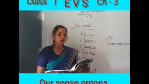 CLASS-1 (Evs) Ch-3  Our sense organs  video- 1