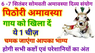 पिठोरी अमावस्या गाय को खिला दें 1 छोटी सी चीज धन संतान की होगी प्राप्ति ‌| Pithori Amavasya 2021 |