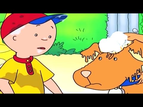 Caillou Türkçe HD | Caillou ve Köpek Yıkama | kayu cizgi filmi | Caillou Turkish | Yeni Derleme